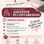 asistente contable