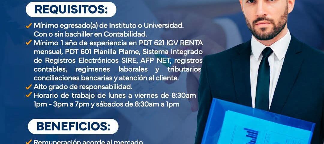 asistente contable