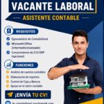 asistente contable